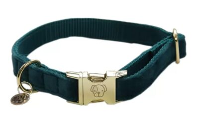 Нашийник для собаки Corduroy від Kentucky