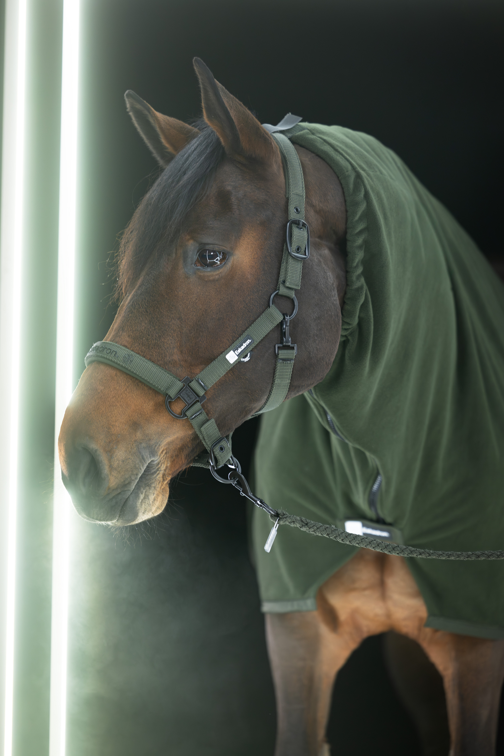 Недовуздок з неопреном Double Pin Dynamic A/W 2025 від Eskadron Недовуздок з неопреном Double Pin Dynamic A/W 2025 від Eskadron