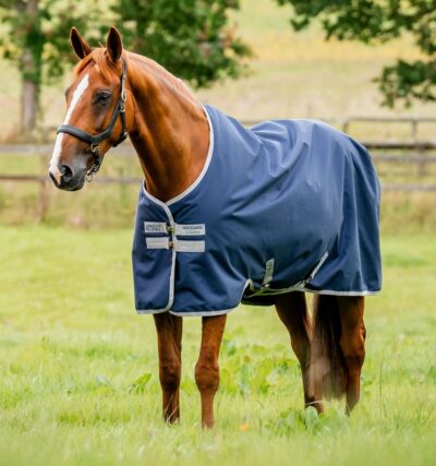 Попона прогулянкова Amigo Turnout 50 г від Horseware