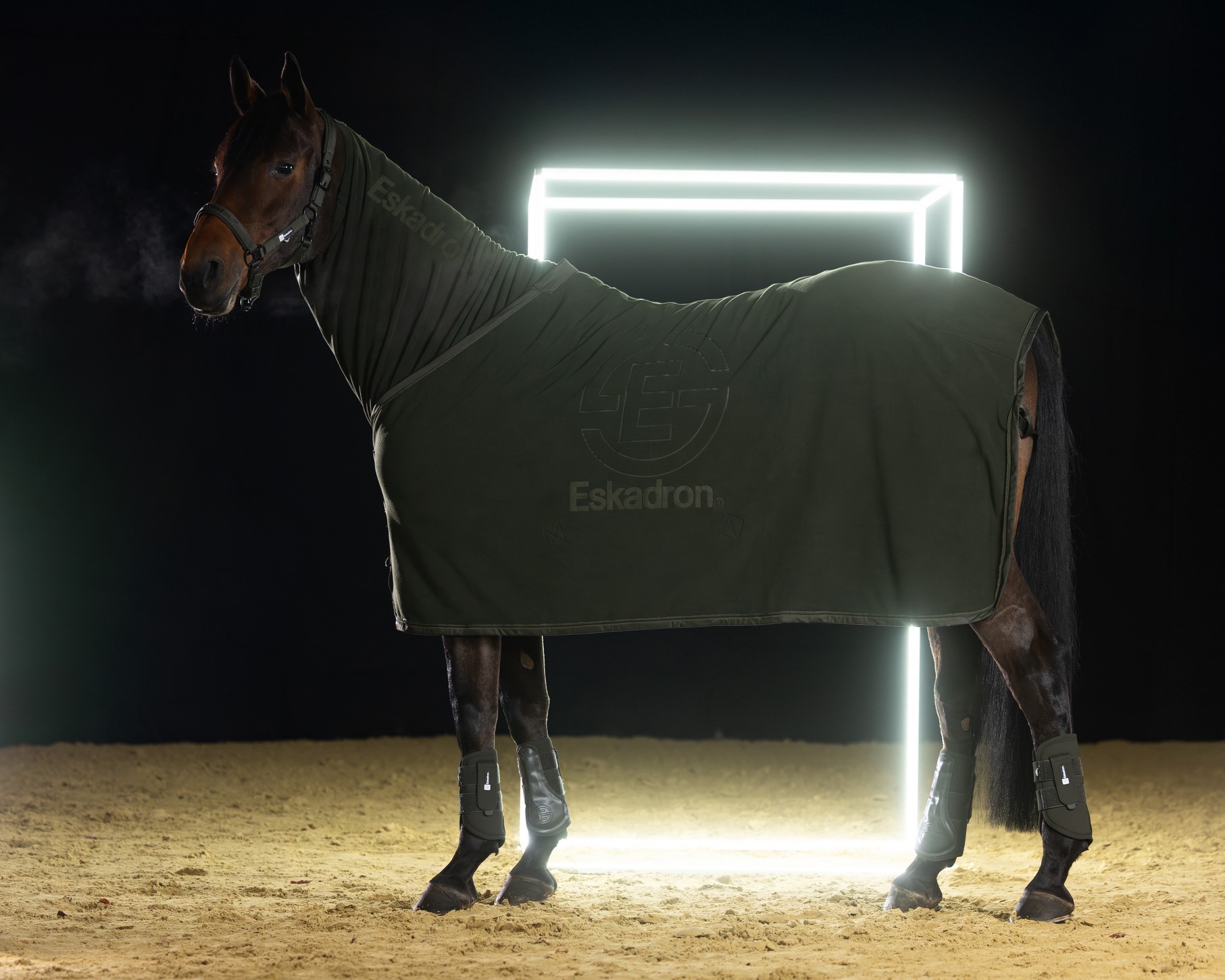 Попона флісова Fleece Stamp Dynamic A/W 2025 від Eskadron Попона флісова Fleece Stamp Dynamic A/W 2025 від Eskadron