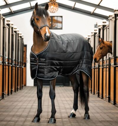Підпопона Easy-Layer 100 г від Horseware