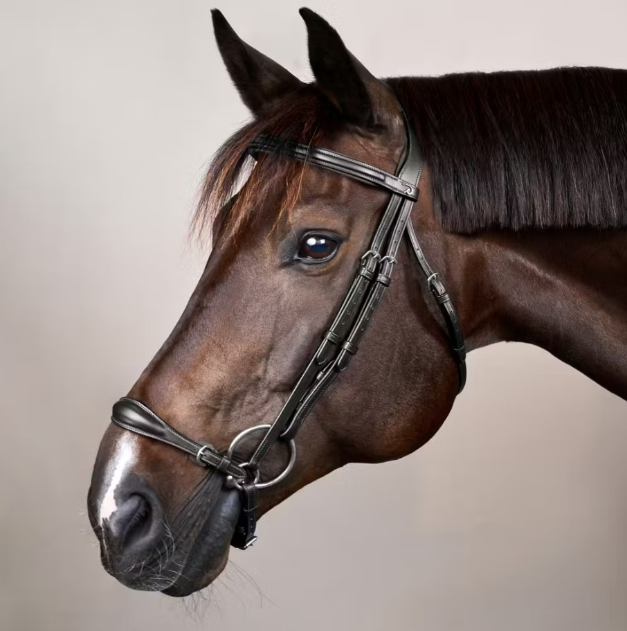 Вуздечка з ганноверським капсюлем Drop Noseband від Dyon Вуздечка з ганноверським капсюлем Drop Noseband від Dyon