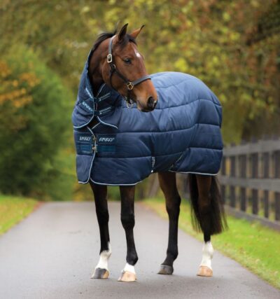 Попона денникова з капором Amigo Insulator Heavy 350 г від Horseware