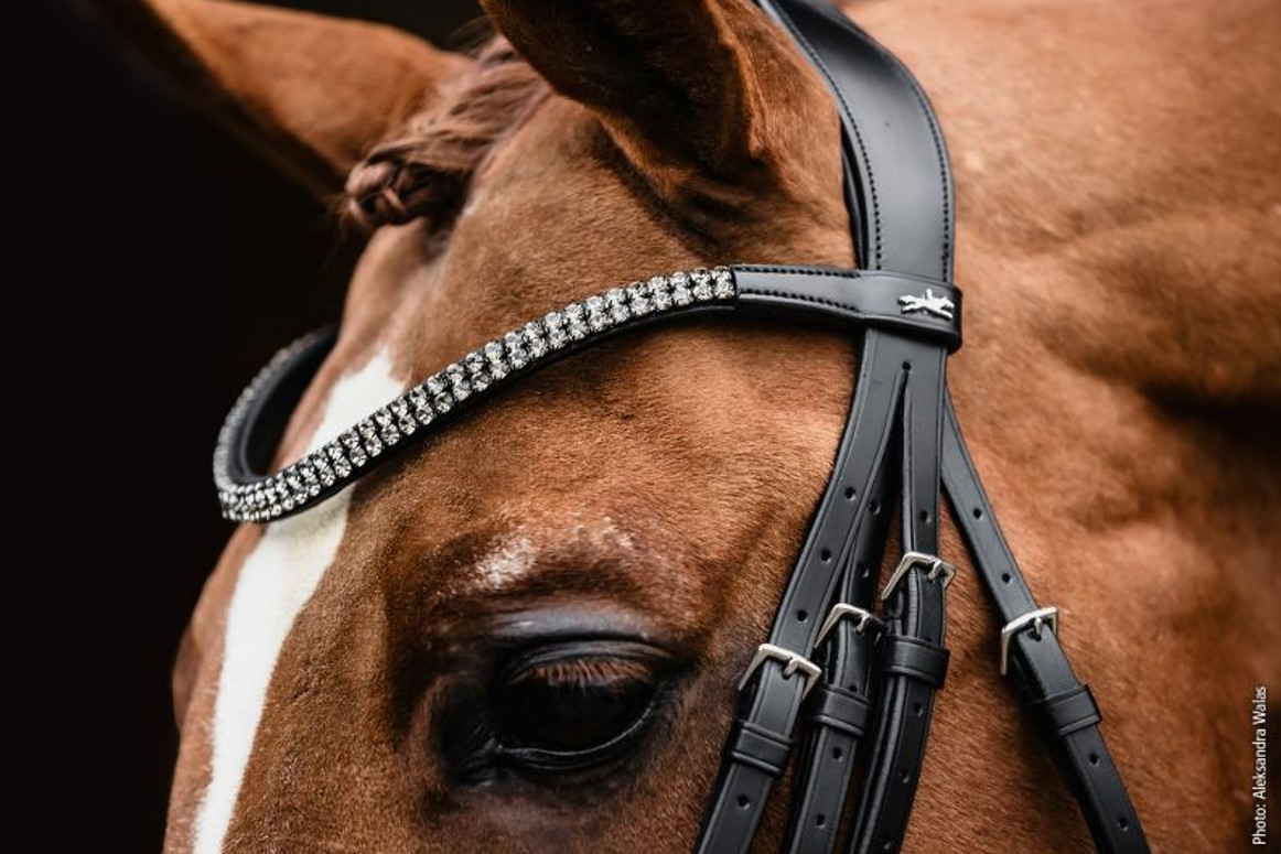 Ремінь налобний SP Valencia/Monticelli від Schockemohle Ремінь налобний SP Valencia/Monticelli від Schockemohle