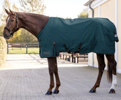 Попона прогулянкова Arctic Turnout 200 г від Waldhausen