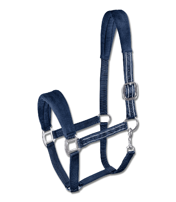 Недовуздок з флісом Alcantara від Waldhausen Недовуздок з флісом Alcantara від Waldhausen