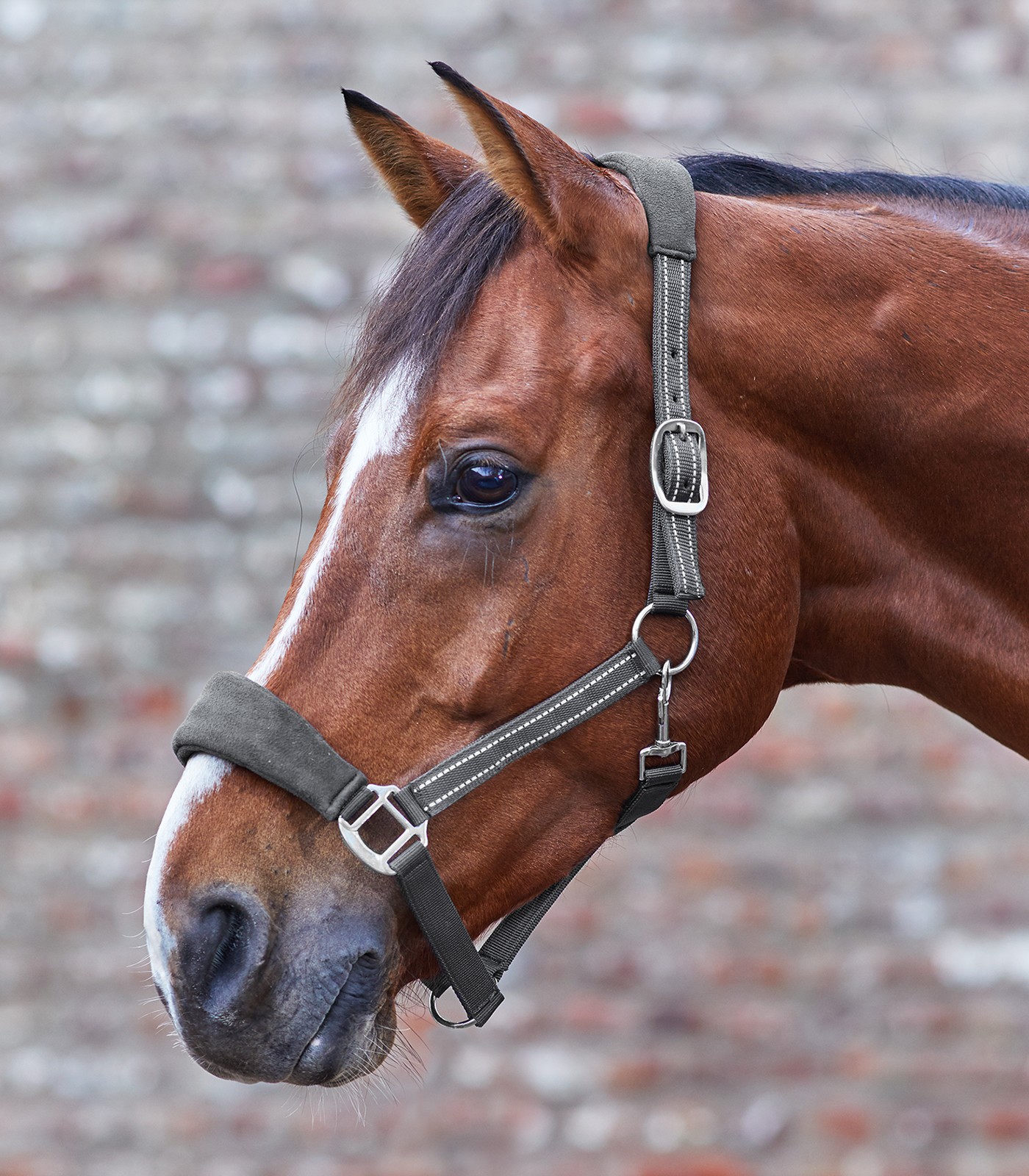 Недовуздок з флісом Alcantara від Waldhausen Недовуздок з флісом Alcantara від Waldhausen