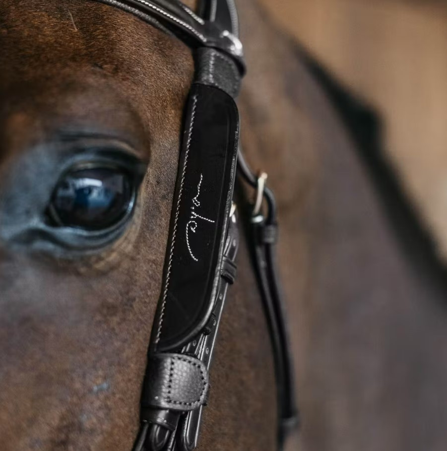 Шори з декоративною строчкою Blinkers with Fancy від Dyon Шори з декоративною строчкою Blinkers with Fancy від Dyon