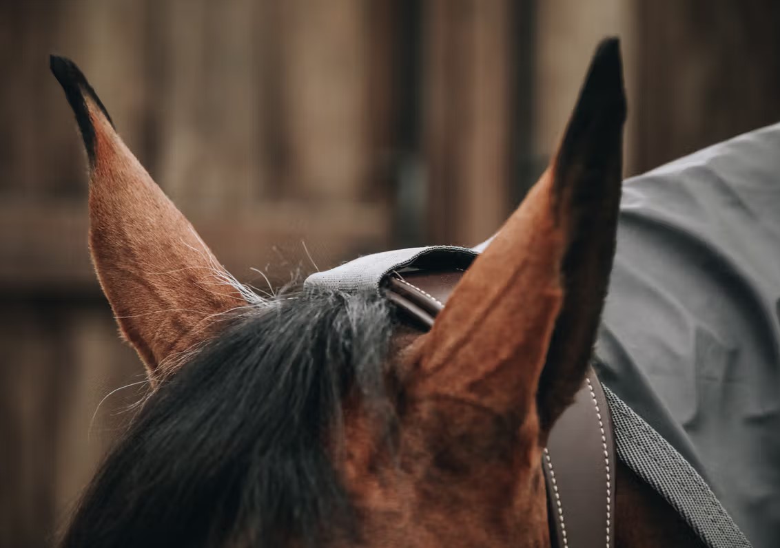 Попона дощова з капором Hurricane 0 г від Kentucky Попона дощова з капором Hurricane 0 г від Kentucky
